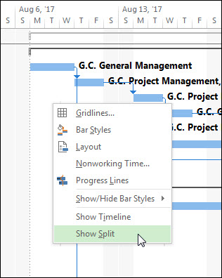 Right-click in the Gantt Chart pane